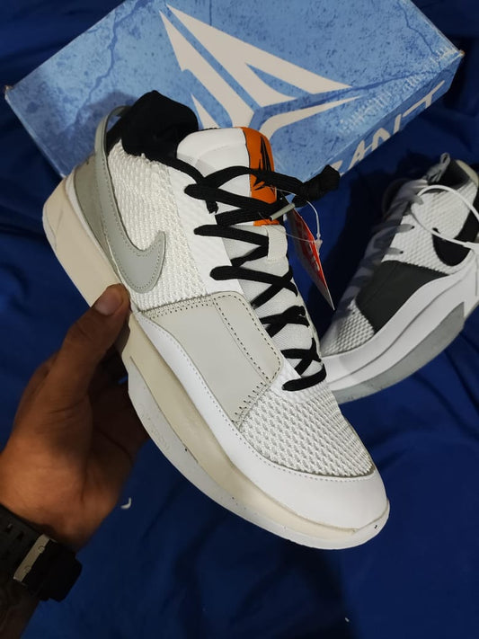 Zapatillas Nike Ja 1 "Light Smoke Grey" a 360 Soles | 40-46