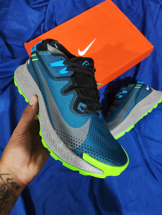 Zapatillas Nike Pegasus Trail 2 a 320 Soles | 36-45