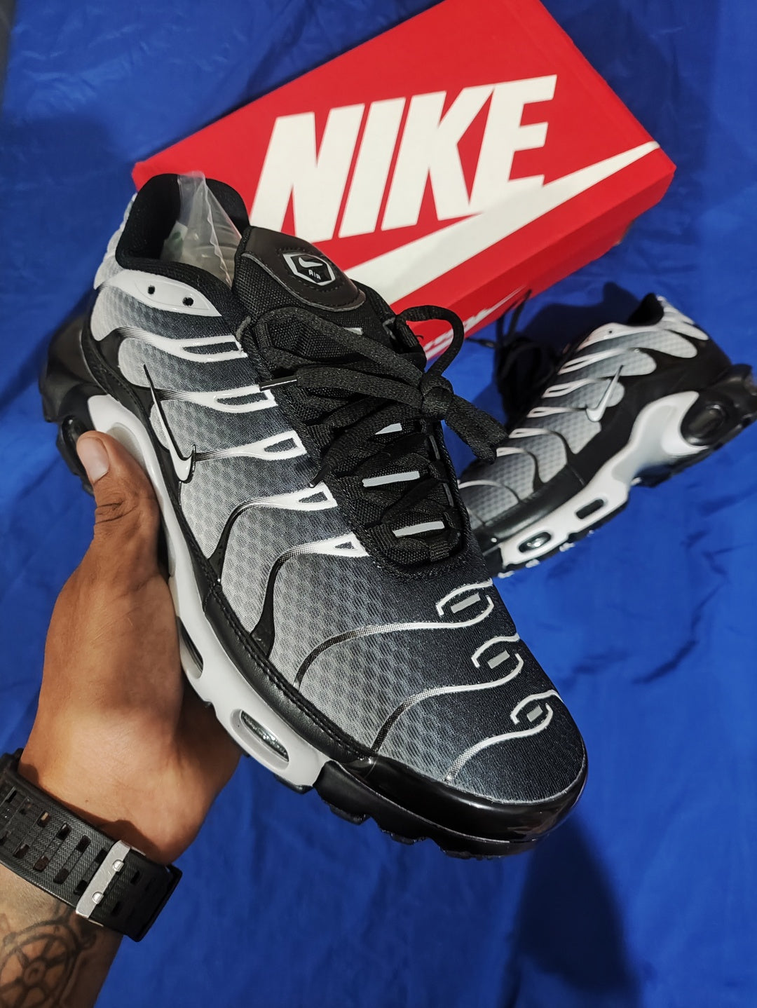 Nike Air Max Plus