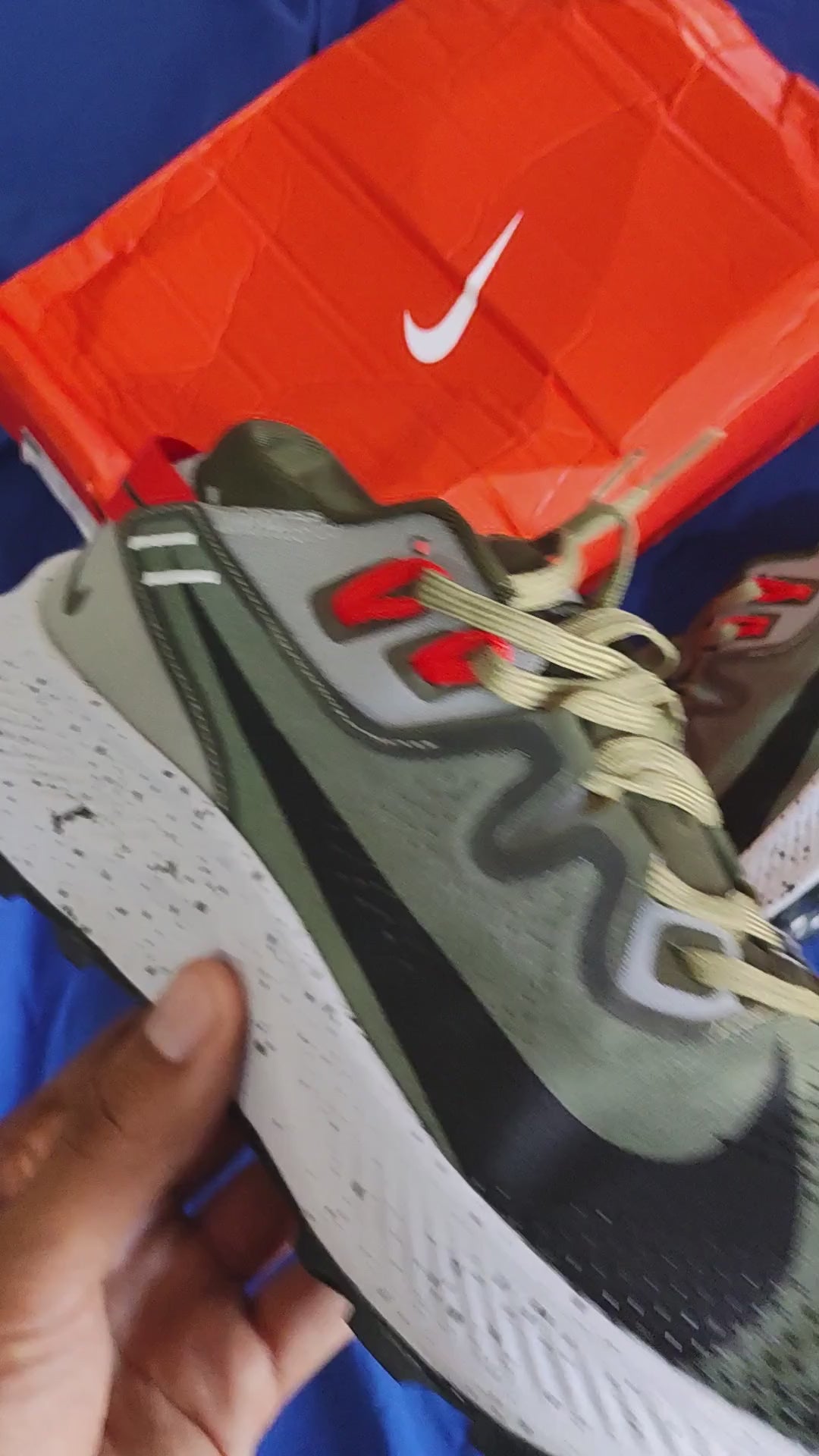 Nike Pegasus Trail 2